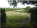 Field between Dry Lane and Hookmoor Brook