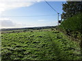 Footpath to Bradford Abbas