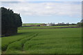 Field north of Polperro