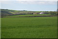 Field near Tarista