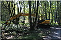 NX0055 : Digger in the Woods by Billy McCrorie