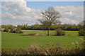 Pasture, Mill Farm