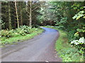 Road passing through Lodge Wood