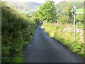 Road at Wet Wood