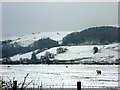 Snow covered pasture and hillside