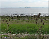 TA2517 : View across the Humber estuary by Mat Fascione