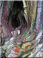 NX3639 : Colourful Cave by Anne Burgess