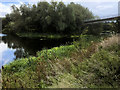 Rushden Lakes near to Higham Ferrers