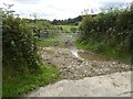 Access track near Norleigh Barton