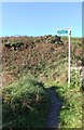 Path to Portpatrick