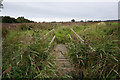 Path leading to Stallingborough