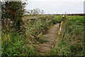 Path leading to Stallingborough