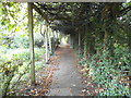 Pergola in Barham Park