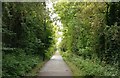 Forest Way cycleway and footpath