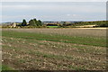 Middle farm across a stubble field