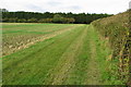 Milton Keynes Boundary Walk by Snelson