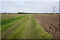 Farm track heading to Immingham