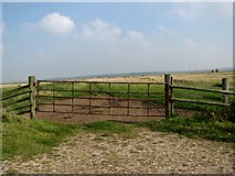 TG4200 : Gate into a marsh pasture by Evelyn Simak