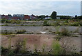 Waste ground at Abbey Meadows