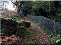 Footpath approaching Wilcock