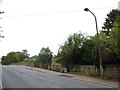 Lamppost in the High Street