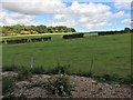 View from a Didcot-Worcester train - Fields near Burleigh Farm