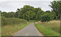 TM3292 : Belseybridge Road, Ditchingham by Roger Jones