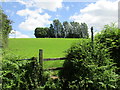 Hillside and stile