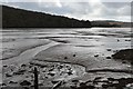 Mud, River Tavy