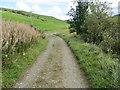 Track from North Balloch to White Row Farm