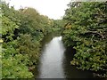 River Brue at Highbridge