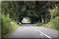 A377 heading north through the trees