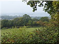 View from the London LOOP