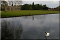 TL5238 : River Cam in front of Audley End by Christopher Hilton