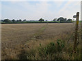 Footpath through stubble field