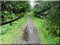 The Speyside Way Dufftown Spur near Buchromb Wood