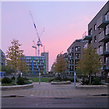 TL4657 : Cambridge: pink sky and cranes by John Sutton