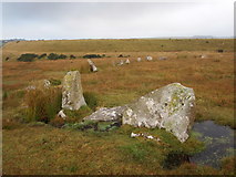 SX1280 : Stannon Stone Circle by Chris Andrews