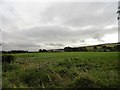 View south from the roadside east of Redwell Hall