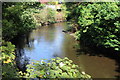 Rhymney River above Ystrad-mynach Bridge