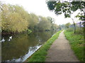 The London LOOP alongside the River Lea