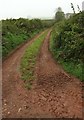 Green lane at Washbourne Cross