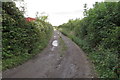 Track on the course of a dismantled railway