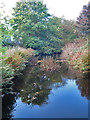 Port Elphinstone Canal