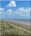 TA4011 : Dunes and beach at the Spurn Head Spit by Mat Fascione