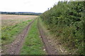 Bridleway towards Snelson