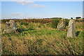 Broomend of Crichie Stone Circle (2)