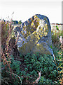 NJ7719 : Broomend of Crichie Stone Circle (10) by Anne Burgess
