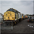 Engines awaiting restoration at Leeming Bar