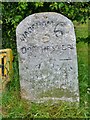 Old Milestone by the A352, Wool